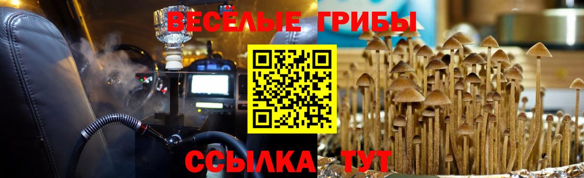 Ялуторовск  Псилоцибиновые грибы Cubensis  Вход с VPN  Галлюциногенные грибы мухоморы 